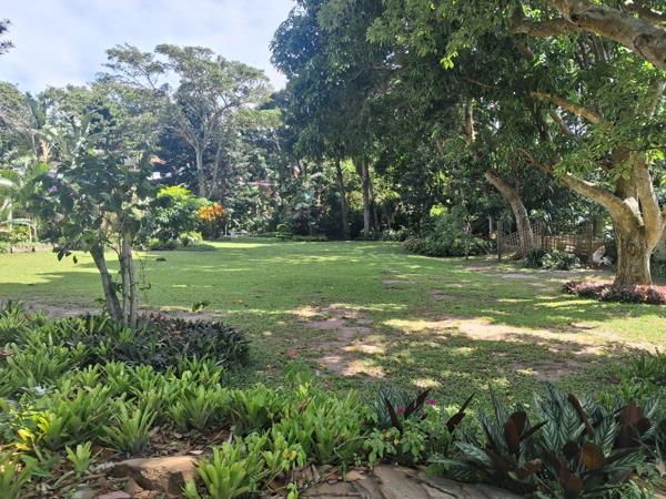1 036 m² Land