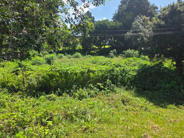 2 447 m² Land