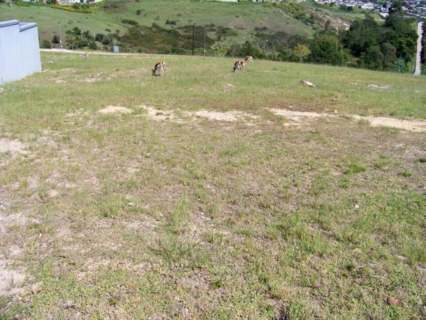 325 m² Land