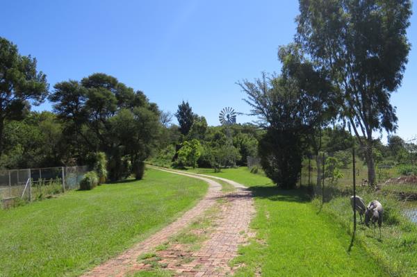 15.9 ha Farm