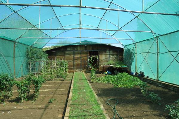15.9 ha Farm