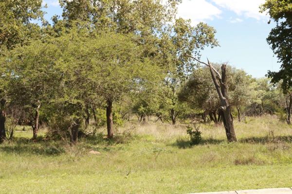 1 229 m² Land