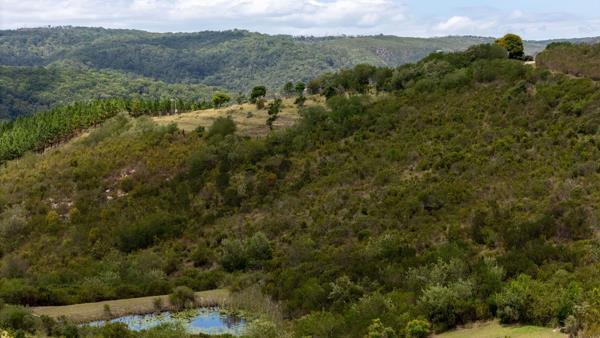 5 181 m² Land
