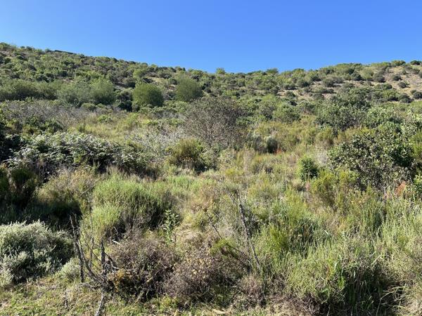 4 619 m² Land