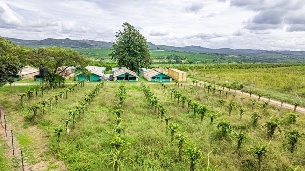 7.6 ha Agricultural Holding