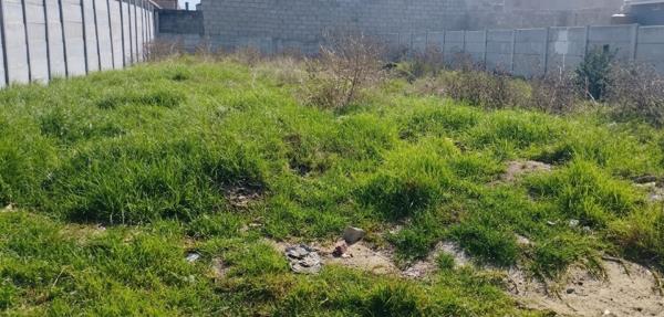 275 m² Land
