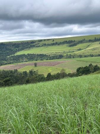 130 ha Agricultural Holding