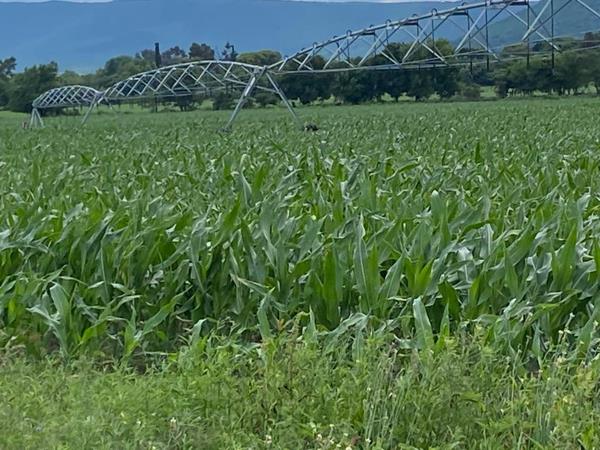 18 ha Farm
