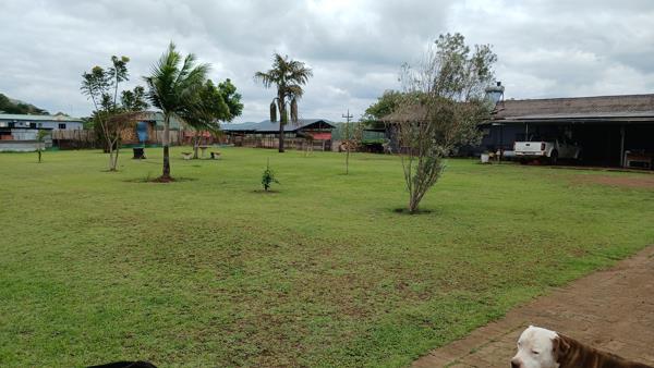 1.3 ha Smallholding