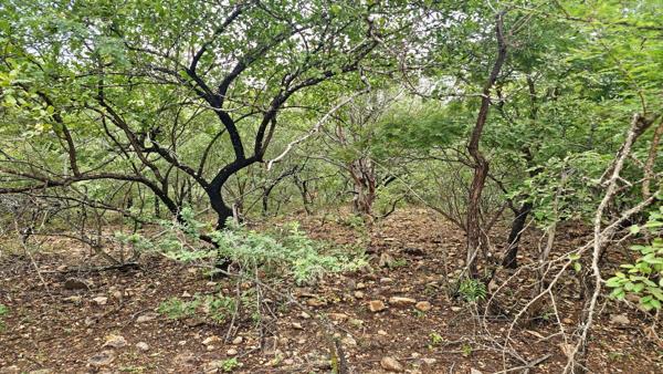 1 530 m² Land