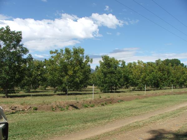 8 ha Farm