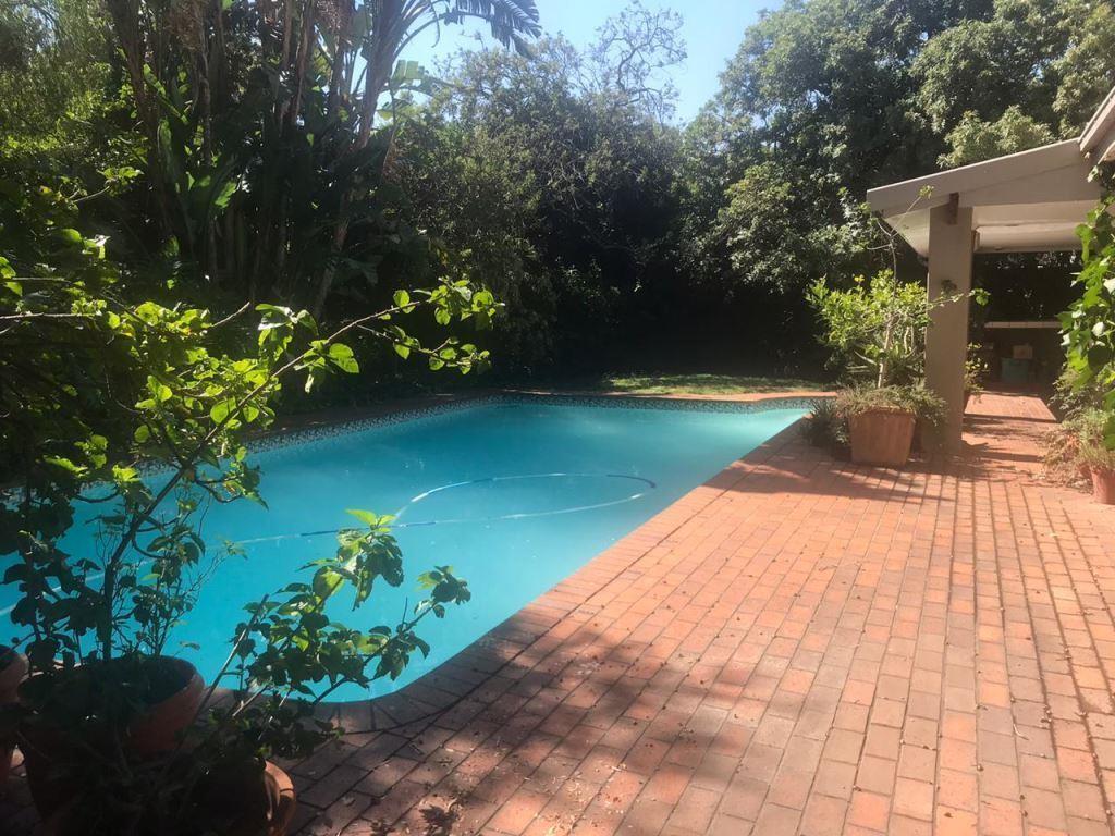 1 Bedroom Apartment in Linden