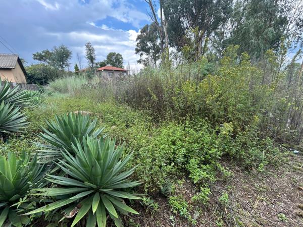 1 038 m² Land