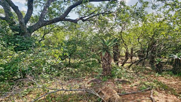 2 030 m² Land