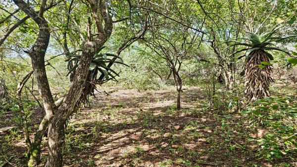2 095 m² Land