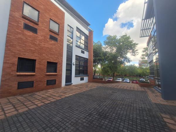 155.3 m² Office Space