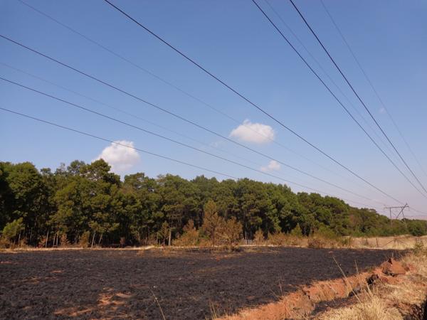 4.2 ha Land
