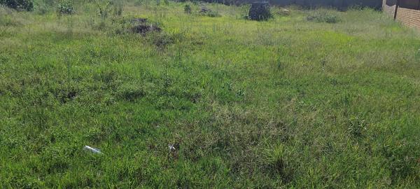506 m² Land