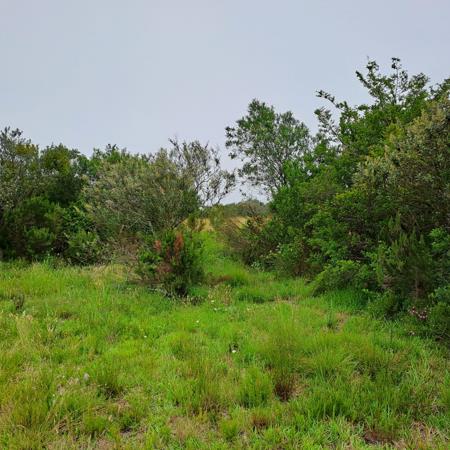 1 900 m² Land