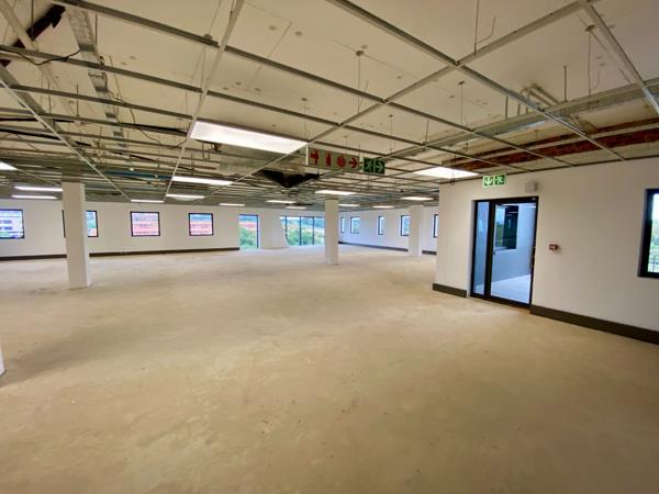 323 m² Office Space