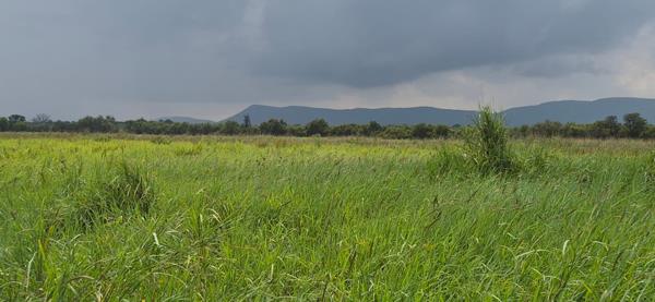 130 ha Land