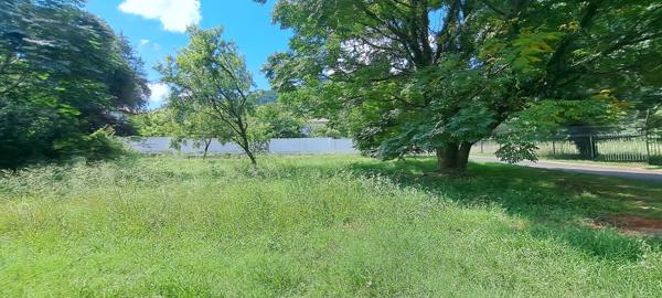 719 m² Land