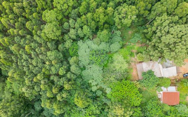 2.4 ha Land