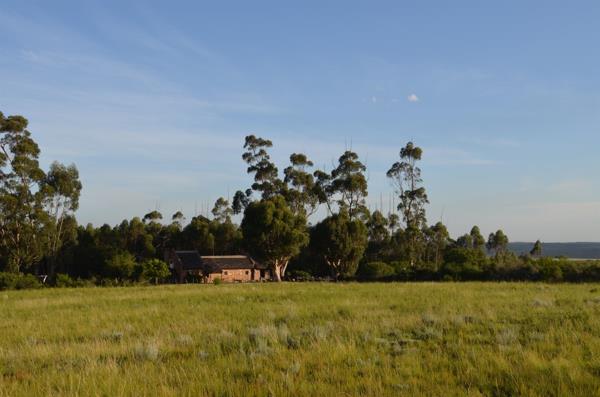 153 ha Commercial Farm