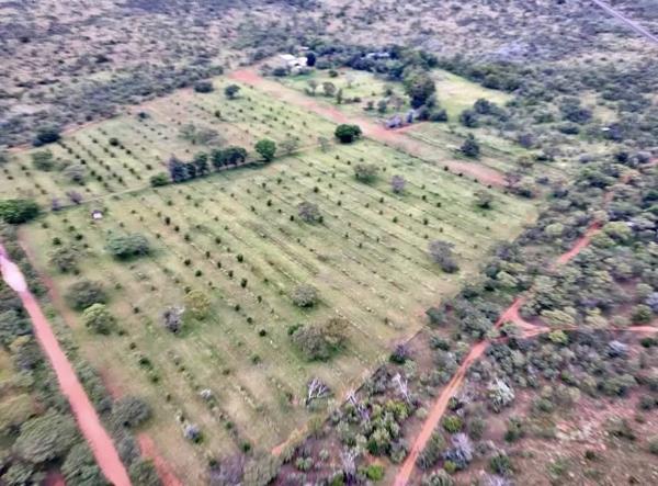 25 ha Farm