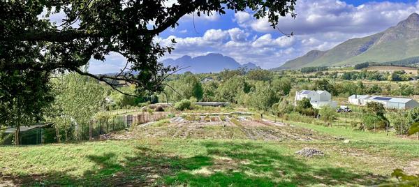 1.4 ha Farm