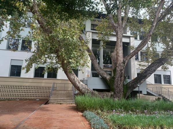 1 682 m² Office Space