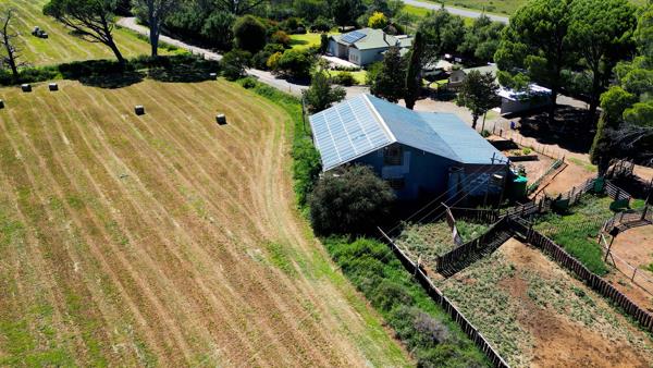 675 ha Farm