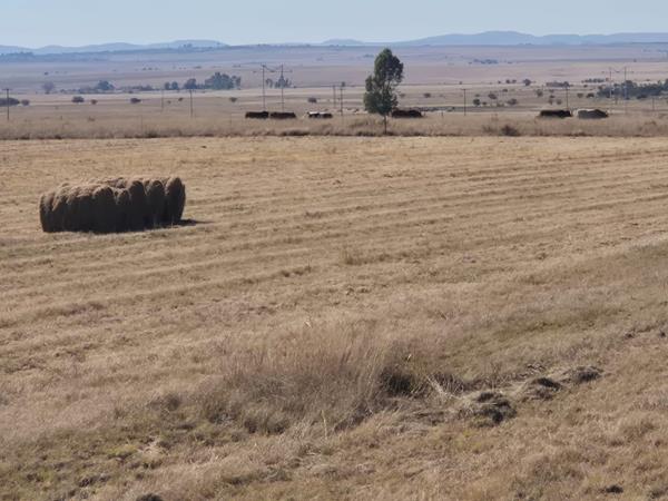 Commercial Farm