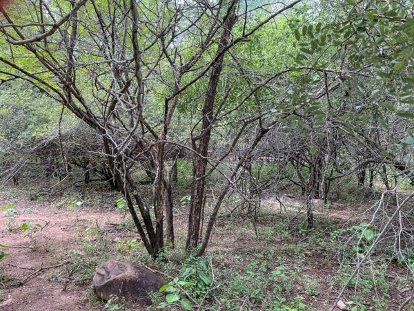2 250 m² Land