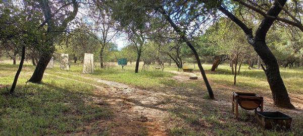8.9 ha Smallholding