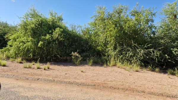 1 019 m² Land