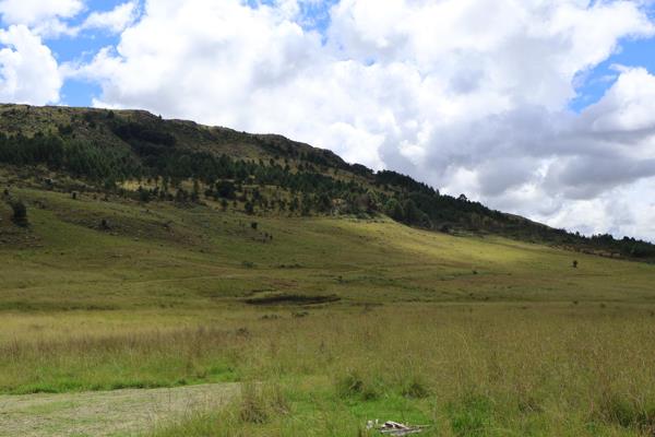 112.7 ha Farm