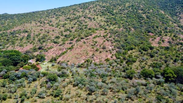 12.5 ha Smallholding