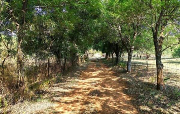 2 500 ha Smallholding