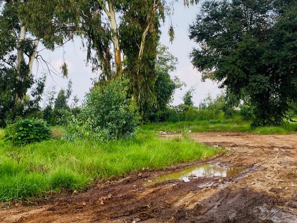2 000 m² Land