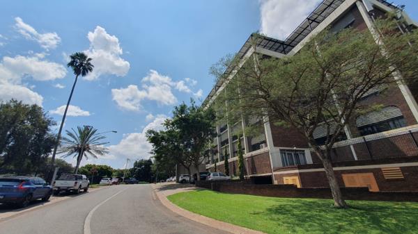 41 m² Commercial space