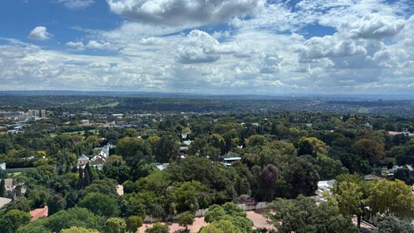 223 m² Office Space