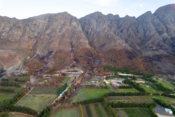 59 ha Farm with House