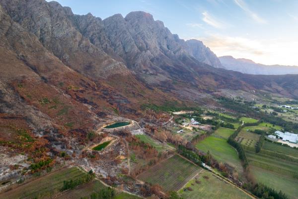 59 ha Farm with House