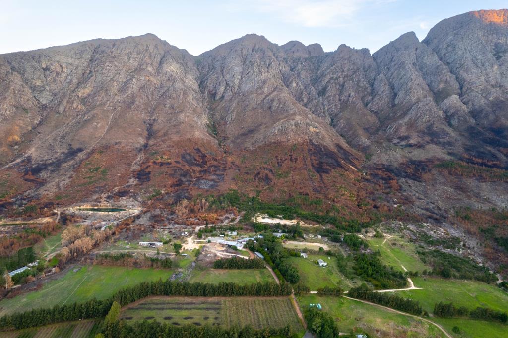 59 ha Farm with House