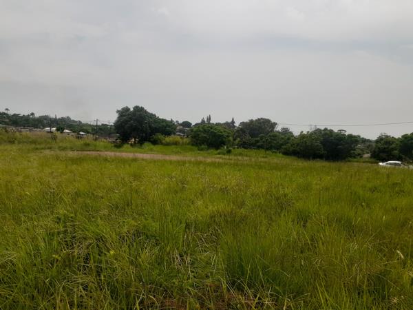 Farm