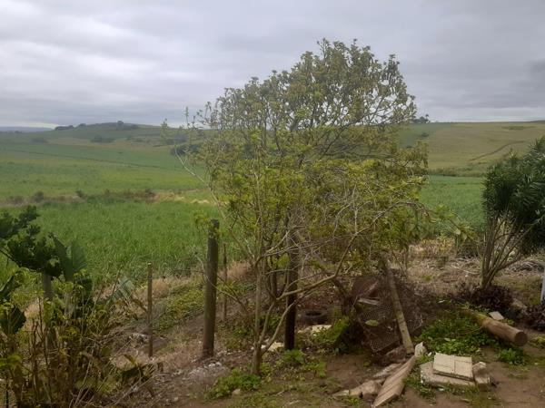 4.1 ha Farm