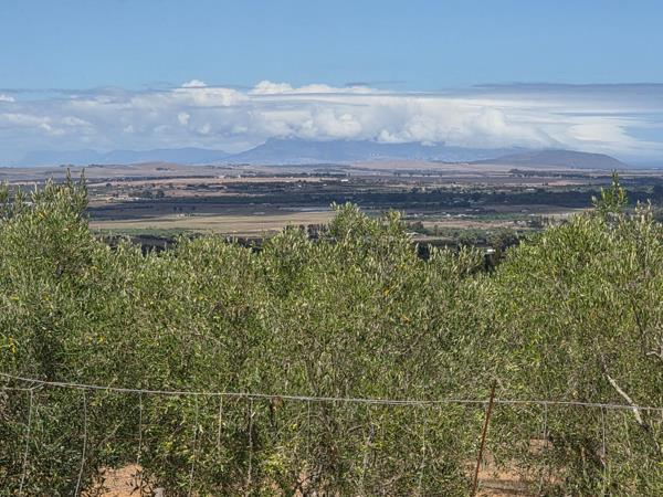 23.9 ha Farm
