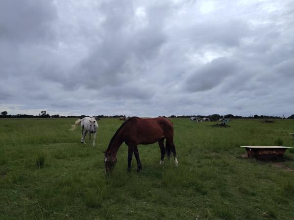 21.4 ha Agricultural Holding