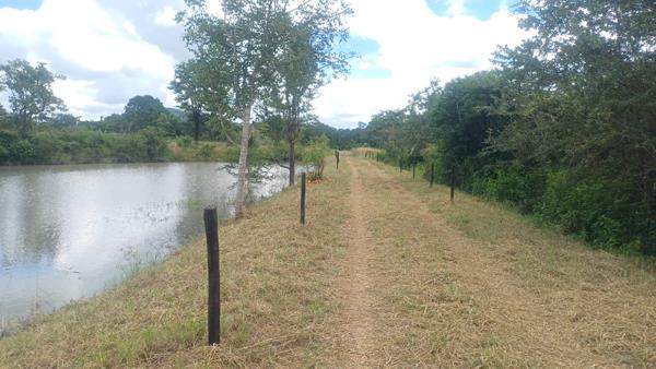 21 ha Farm